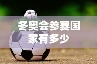 冬奥会参赛国家有多少，2026年米兰-科尔蒂纳冬奥会参赛国家有多少个