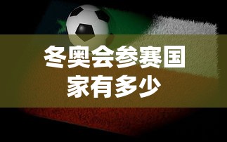 冬奥会参赛国家有多少