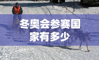 冬奥会参赛国家有多少
