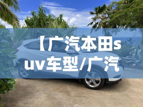 【广汽本田suv车型/广汽本田suv车型价格】