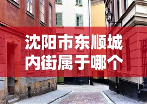 沈阳市东顺城内街属于哪个社区/沈阳南市小区属于哪个社区