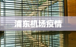 浦东机场疫情，浦东机场疫情最新情况