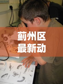 蓟州区最新动态/蓟州区最新干部任免