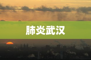 肺炎武汉 肺炎武汉