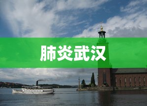 肺炎武汉,武汉肺炎疫情