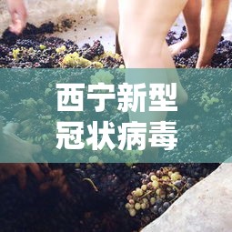 西宁新型冠状病毒肺炎（西宁新冠病毒最新消息）