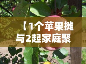 【1个苹果摊与2起家庭聚集性疫情/家庭遭受疫情具体情况】