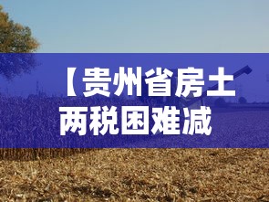【贵州省房土两税困难减免政策,贵州省房土两税困难减免政策最新】