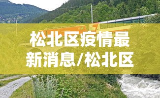 松北区疫情最新消息/松北区干部调整最新消息