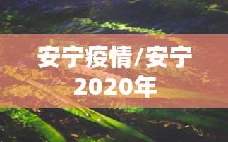 安宁疫情/安宁2020年