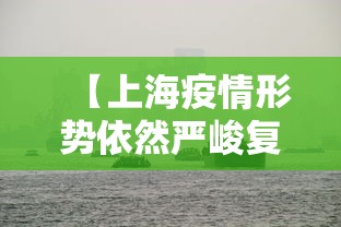 【上海疫情形势依然严峻复杂,上海疫情防控取得的良好成绩】