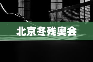 北京冬残奥会，北京冬残奥会，冰雪之约，绽放生命之光