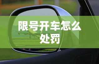限号开车怎么处罚