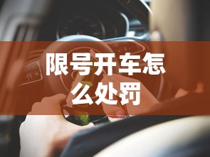 限号开车怎么处罚