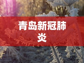 青岛新冠肺炎，青岛新增本土新冠肺炎确诊病例