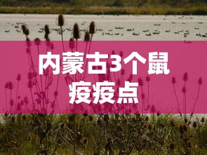 内蒙古3个鼠疫疫点,内蒙古3个鼠疫疫点均位于荒漠草原,公众无需过度恐慌