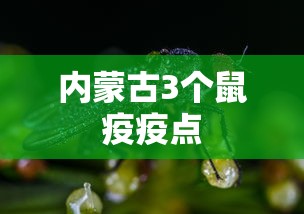 内蒙古3个鼠疫疫点 内蒙古3个鼠疫疫点