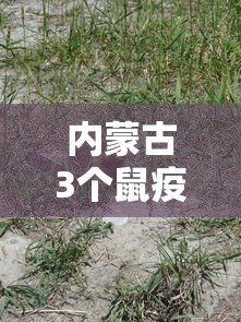 内蒙古3个鼠疫疫点 内蒙古3个鼠疫疫点