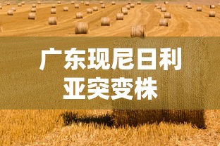 广东现尼日利亚突变株 广东现尼日利亚突变株