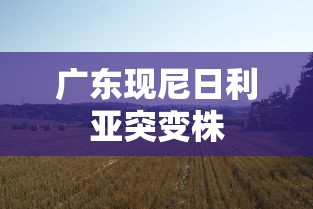 广东现尼日利亚突变株，广东首现尼日利亚突变株