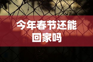 今年春节还能回家吗