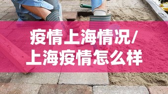 疫情上海情况/上海疫情怎么样 疫情上海情况/上海疫情怎么样