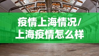 疫情上海情况/上海疫情怎么样