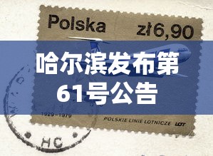 哈尔滨发布第61号公告,哈尔滨发布第61号公告