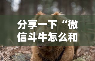 分享一下“微信斗牛怎么和朋友创房间玩”房卡使用方法介绍