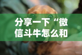 分享一下“微信斗牛怎么和朋友创房间玩”房卡使用方法介绍