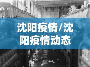 沈阳疫情/沈阳疫情动态2026年8月