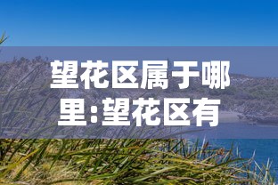 望花区属于哪里:望花区有哪些旅游景点