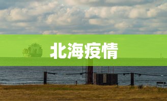 北海疫情，北海疫情最新动态