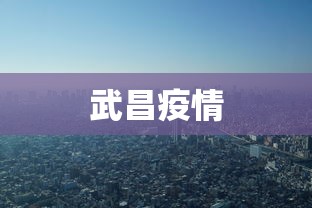 武昌疫情,武昌疫情最新动态