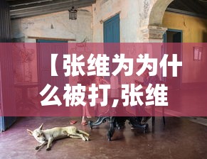 【张维为为什么被打,张维为的言论为什么有争议】 【张维为为什么被打,张维为的言论为什么有争议】