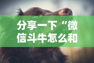 分享一下“微信斗牛怎么和朋友创房间玩”房卡获取方法