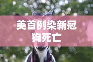 美首例染新冠狗死亡