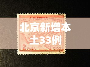 北京新增本土33例，北京新增本土33例