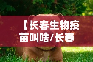 【长春生物疫苗叫啥/长春生物什么疫苗】