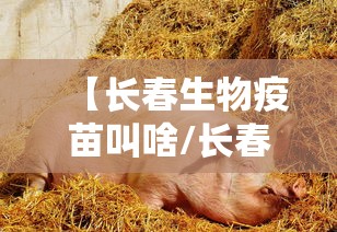 【长春生物疫苗叫啥/长春生物什么疫苗】