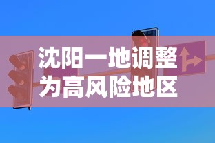 沈阳一地调整为高风险地区（沈阳一地创新祭祀方式获居民认可）