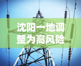 沈阳一地调整为高风险地区(沈阳一地创新祭祀方式获居民认可) 沈阳一地调整为高风险地区(沈阳一地创新祭祀方式获居民认可)