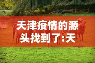 天津疫情的源头找到了:天津疫情解封了吗