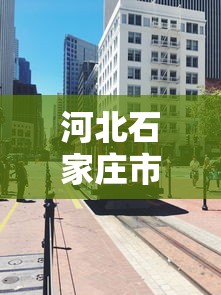 河北石家庄市封城了吗/河北石家庄高速封路了吗