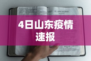 4日山东疫情速报 4日山东疫情速报