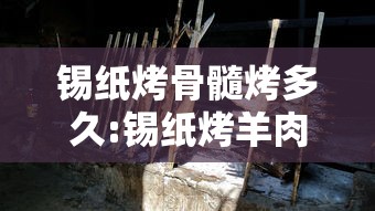 锡纸烤骨髓烤多久:锡纸烤羊肉要烤多久