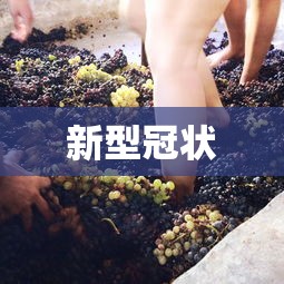 新型冠状，新型冠状病毒