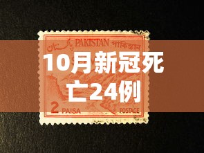 10月新冠死亡24例