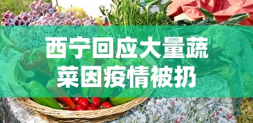 西宁回应大量蔬菜因疫情被扔