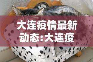 大连疫情最新动态:大连疫情最近消息 大连疫情最新动态:大连疫情最近消息